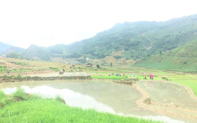 Golden Rice Garden Sapa