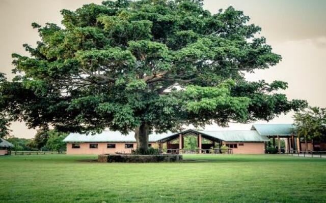 Sea Horse Ranch Villa #75