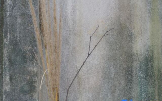 Wuyi Mountain Yuewuyi Tea Life Aesthetics Hotel