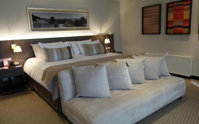 Hotel los Españoles Plus