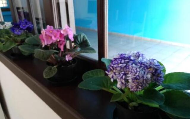 Hostel Villa Pomerânia