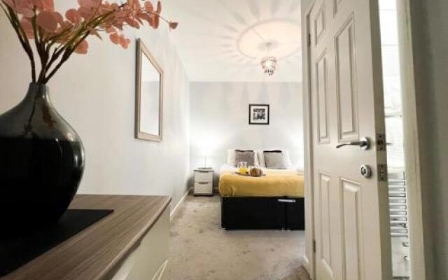 Berkeley  Apartment