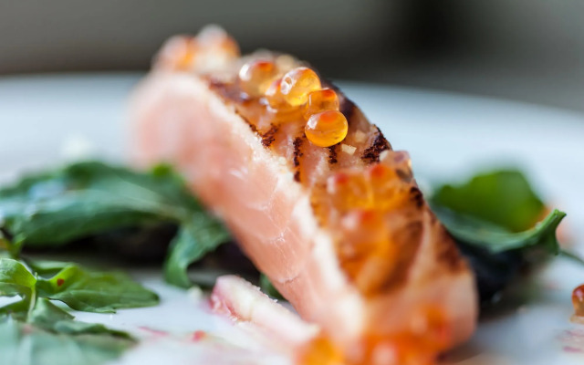 The Singular Patagonia