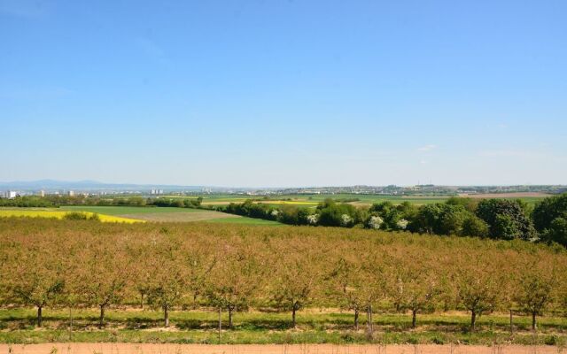 Weingut Bugner Meizelhof