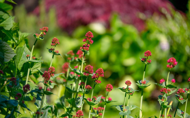 Riki'S Apartment-Zagreb