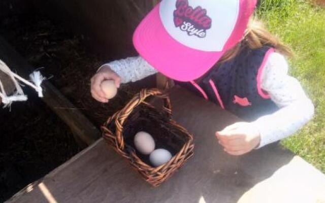 Agroturystyka SZYSZKA