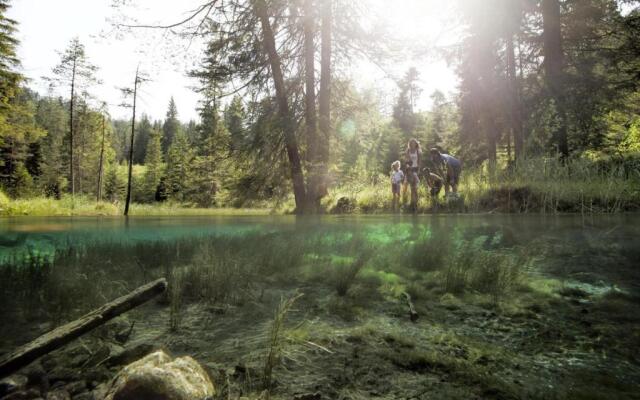 Mellow Mountain Hostel