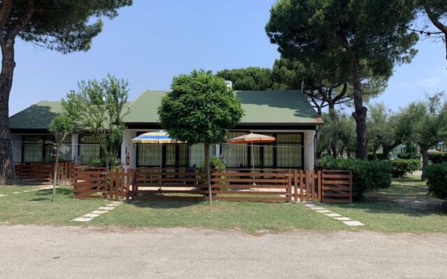Mare Pineta 42191
