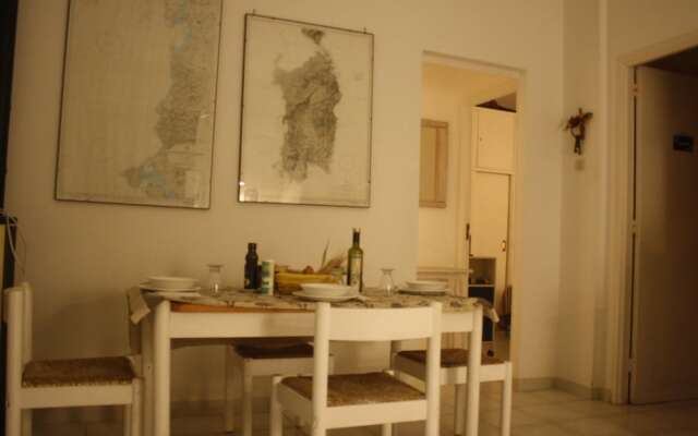 a Vacation That Becomes a Dream