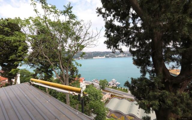 Splendid Flat With Bosphorus View in Besiktas