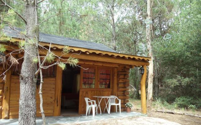 Patagonia Playa Cielo