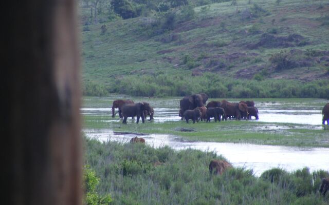 Elephant Walk Retreat