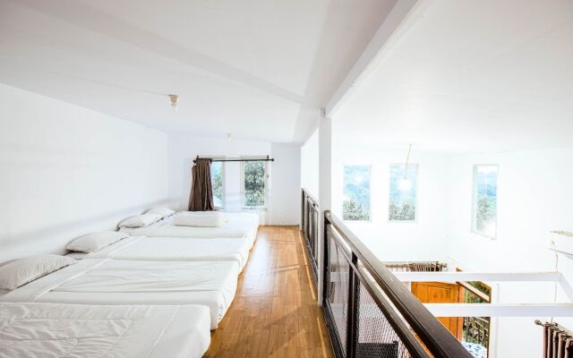 Miracle Signature Hills