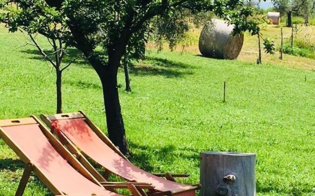 La Collina Degli Ulivi