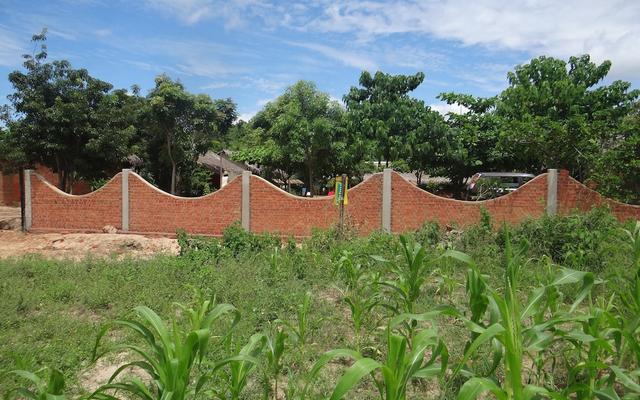 Blue Vanga Lodge