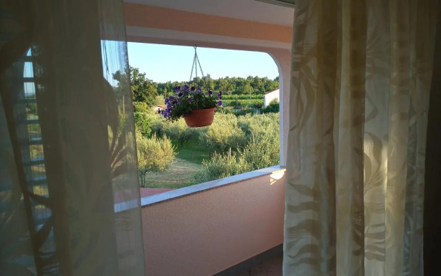 Apartma Barižoni