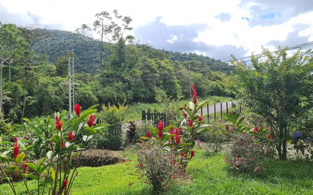 Cabinas El Pilon Rio Celeste