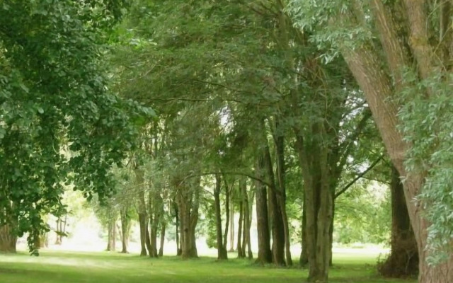 Moulin de l'Aumonier