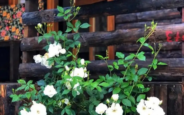 ZeytinDagi Bungalow Butik Otel