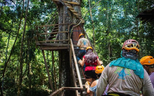 Avatar Amazon Lodge & Canopy Park