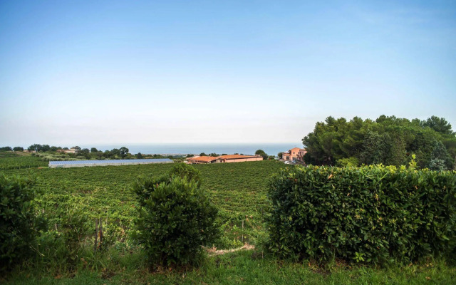 Tenuta San Michele