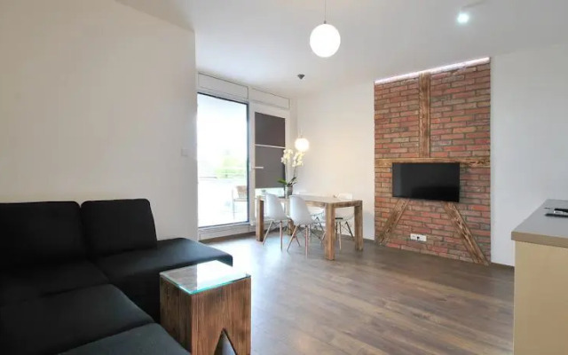 Luxurious Apartment
