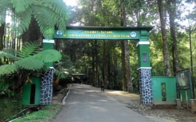 Pondok Amira