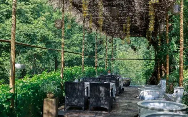 Qingcheng Banshan Guishu Villa Hot Spring Hotel