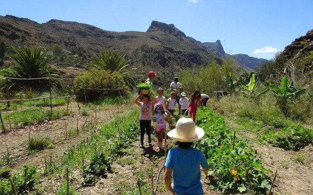 EcoTara Canary Islands Eco-Villa Retreat