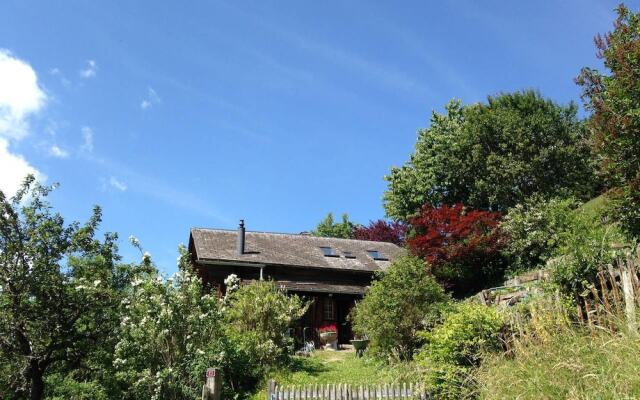 Gstaad Paradise View Chalet with Jacuzzi