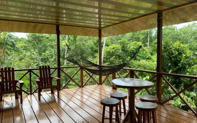 Room-villa With Primary Forest View