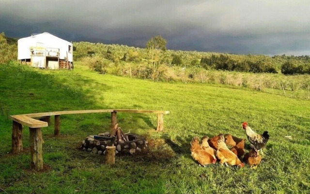 Yurt in Puyehue with Volcano Views