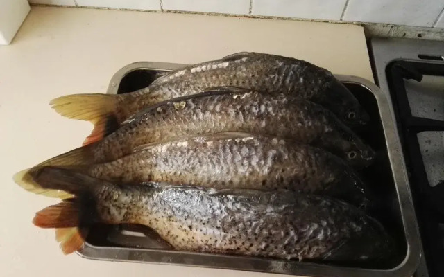 Anchorage Holiday Units