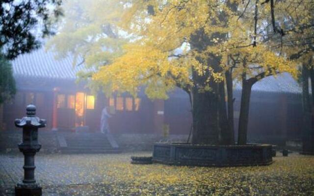 Dengfeng Cangjingge International Youth Hostel