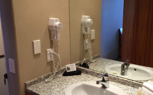 Plymouth International