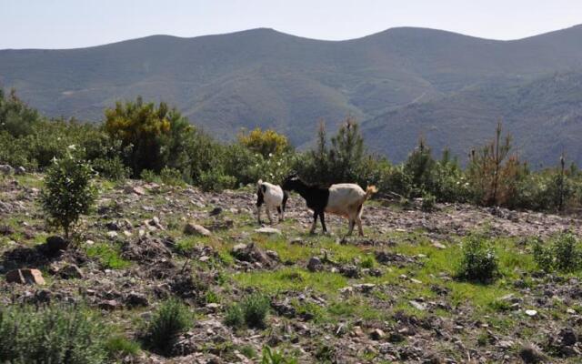 Refugio De La Rabaza