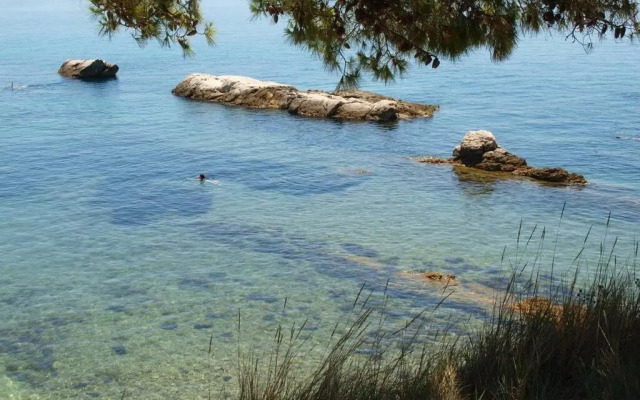 Joy4You Apt near Beach and Center