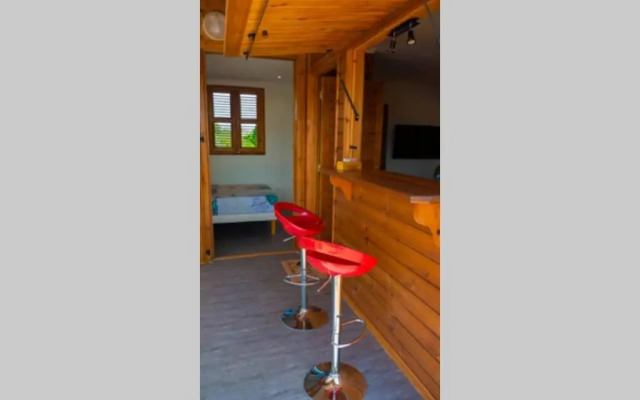 Live in Precious - Noubana Tona***