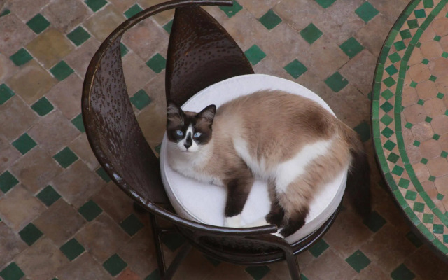 Riad Massiba