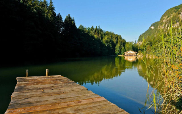 Ferienwohnung Waldblick