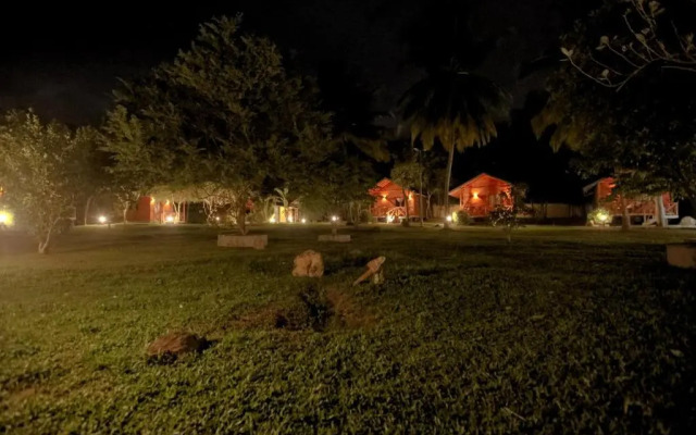 mastodon valley safari resort