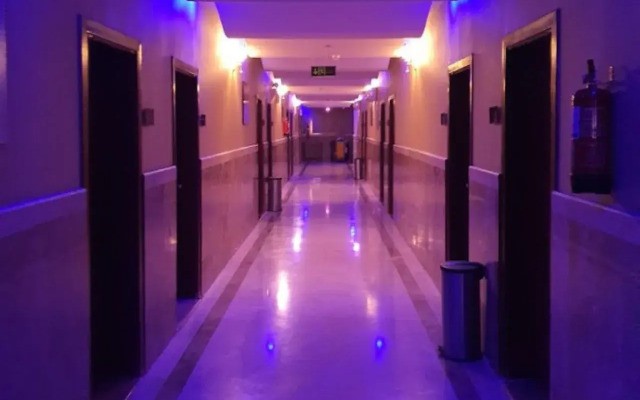 Aseel oasis