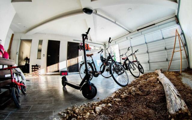 Endemic Inn Veracruz