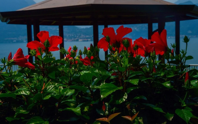 Villa Perledina by Wonderful Italy