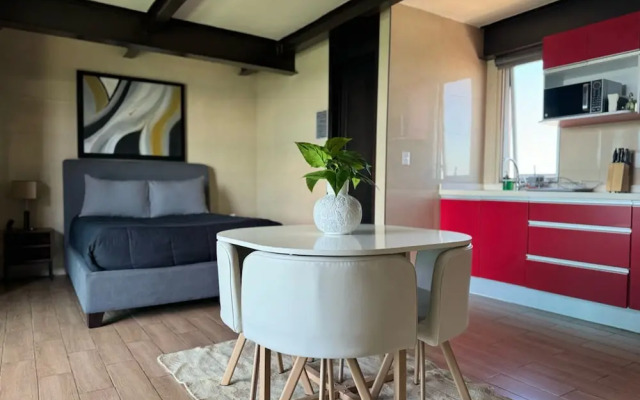 Beautiful and Comfortable Rooftop Suite