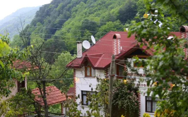 Istanbuldere Dag Evi