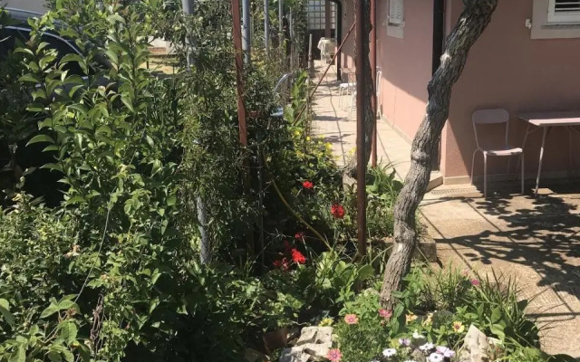 Studio Umag 7126a