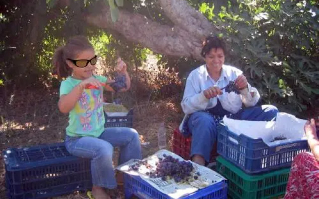 Carpe Diem Villas and Houses