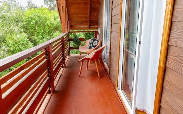 Cabañas Aquario Papudo