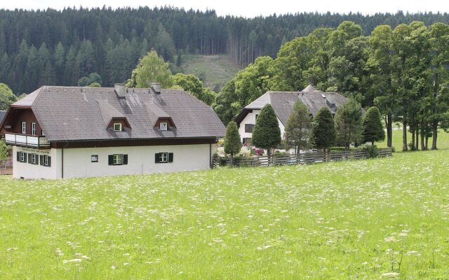 Warm Apartment in Ramsau am Dachstein With Garden